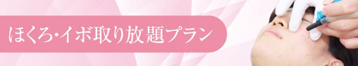 ほくろ取り放題プラン