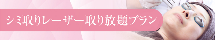 シミ取りレーザー取り放題プラン