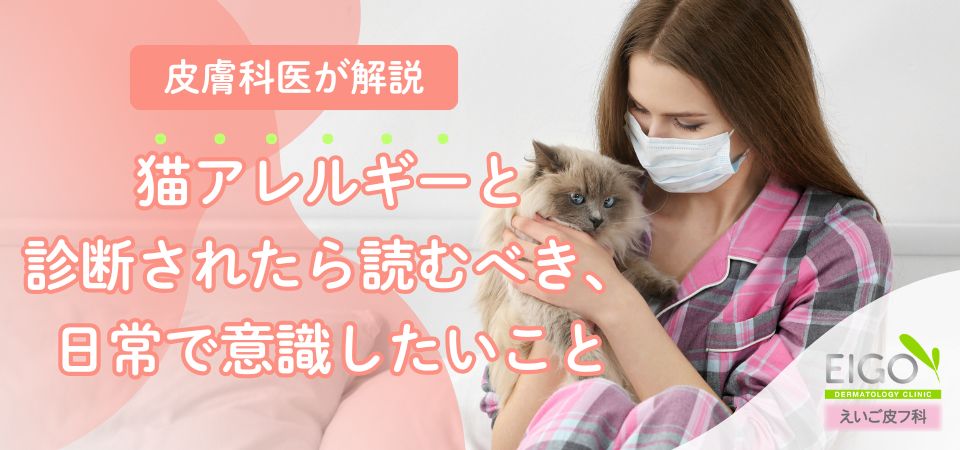 猫アレルギー氏 えいご皮フ科猫アレルギーと診断されたら読むべき、日常で意識したい